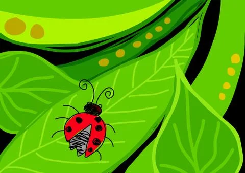 Lady Bug Stock Illustration