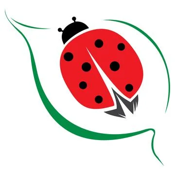 Lady bug illustration Stock Illustration