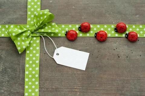 Lady bug Stock Photos