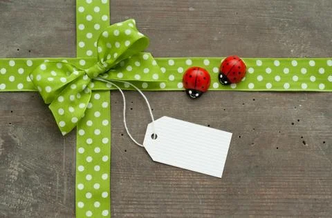 Lady bug Stock Photos