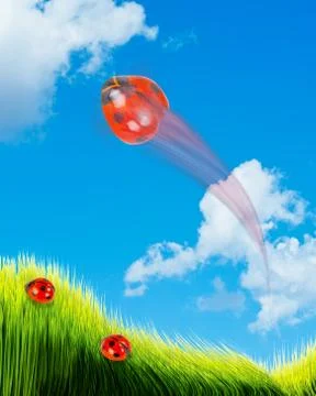 Lady Bugs Flying. Foto stock