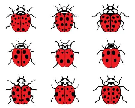 Lady bugs Stock Illustration