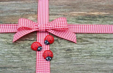 Lady bugs Stock Photos