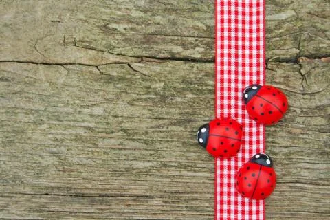 Lady bugs Stock Photos