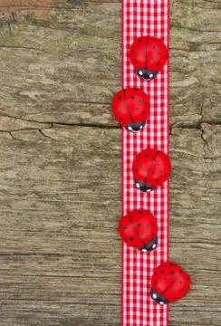 Lady bugs Stock Photos