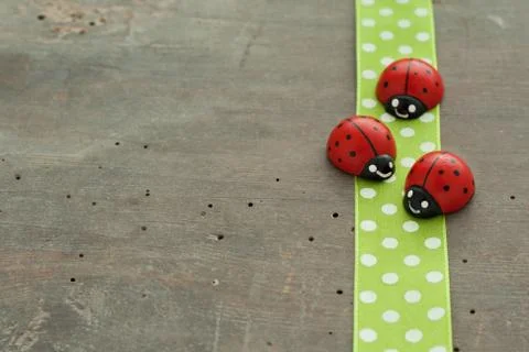 Lady bugs Foto stock