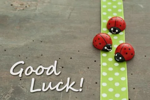 Lady bugs Stock Photos