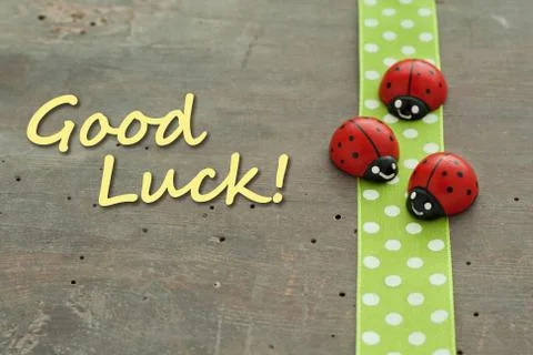 Lady bugs Stock Photos