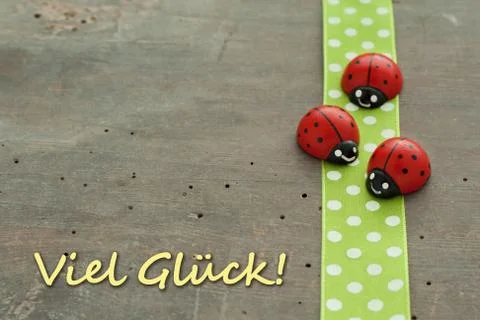 Lady bugs Stock Photos