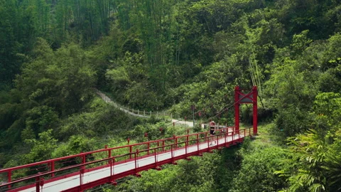 A Lady Crosses the Red Bridge Surrounded by Lush Greenery in Sapa, Lao Cai Vidéo 334567845