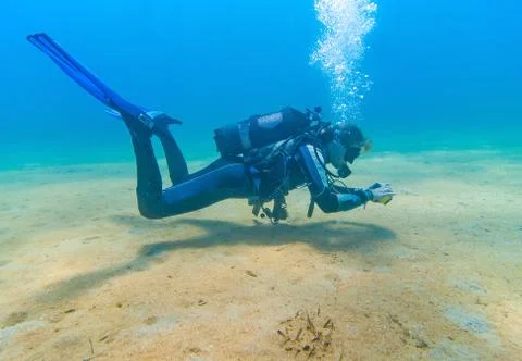 Lady diver Foto stock