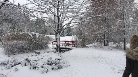 Lady drags a sledge through the snow in a Winter Wonderland 動画素材 84676732