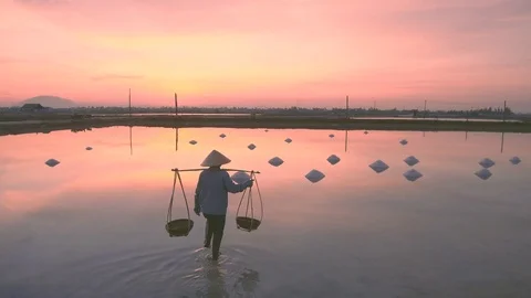 Lady farmer walking into salt field for harvesting salt in Hon Khoi province Stock Footage 99066913