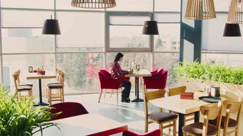 Lady Freelancer Is Working In Fancy Cafe Stock Footage 169412601