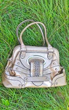 Lady handbag Stock Photos