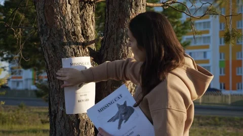 Lady hangs poster of missing cat and strokes photo on tree Stock Footage 161250377