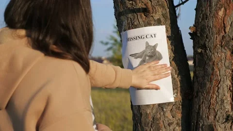 Lady hangs poster of missing cat and strokes photo on tree Stock Footage 162598764