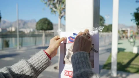 Lady hangs poster of missing cat Stock Footage 229162773