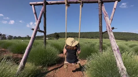 A lady in a hat riding a swing in a lavender field Stock Footage 249762750