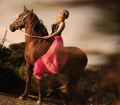 Lady on a horse Stock Photos