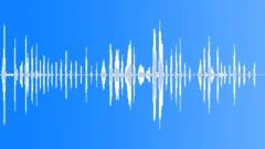 Lady Laughs Long 2 Sound Effect