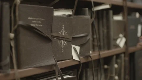 Lady In Library Slow Motion Stock Footage 83603811