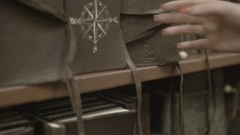 Lady In Library Slow Motion Stock Footage 83603813