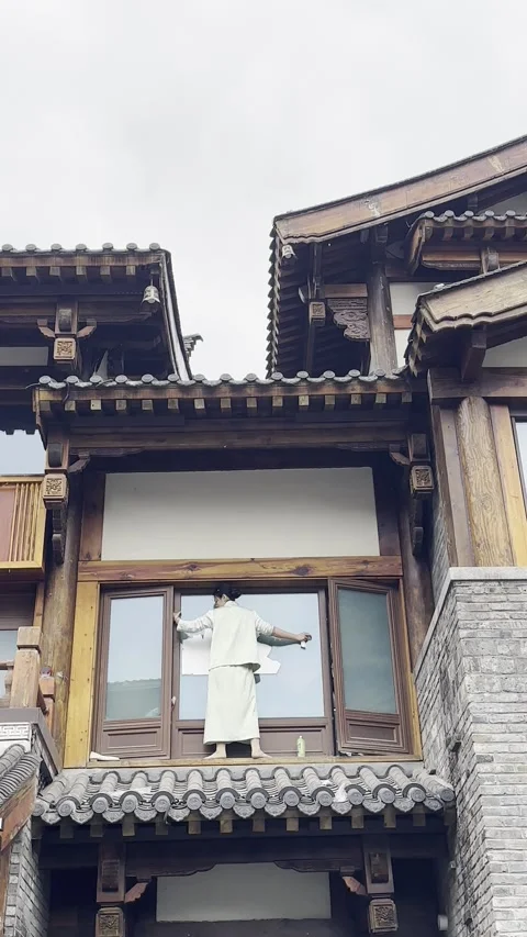 Lady outside of the Building Stock Footage 316454370