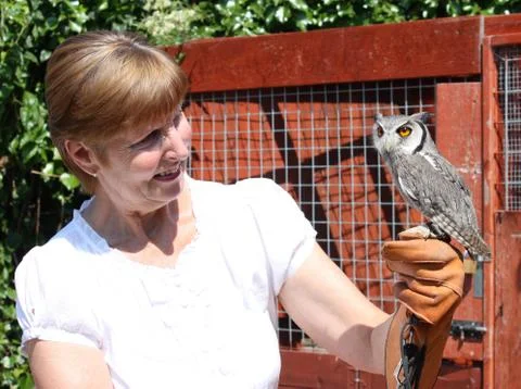 A lady with an owl Stock Photos