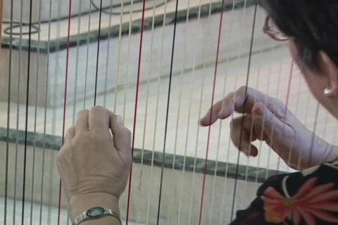 Lady Plays Haarp Stock Footage 621361