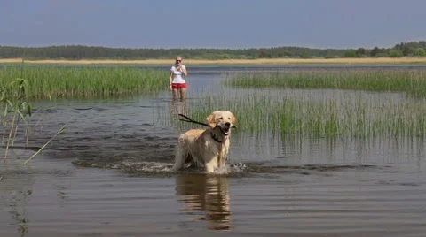 Lady plays with her pet. Stock Footage 49356729