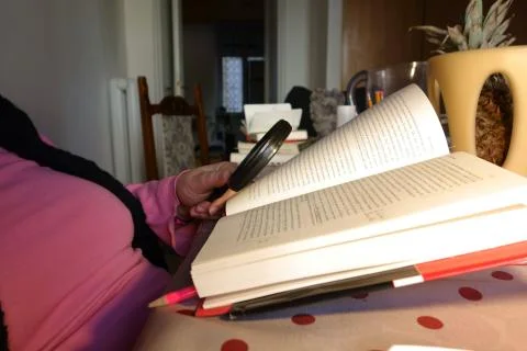 Lady reading Stock Photos