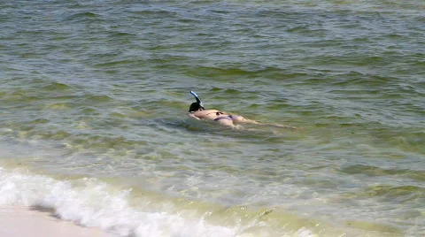 Lady Snorkeling In Bikini Stock Footage 776529
