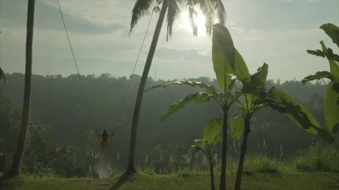 Lady swings between coconut trees, in a jungle paradise. Stock Footage 82328304