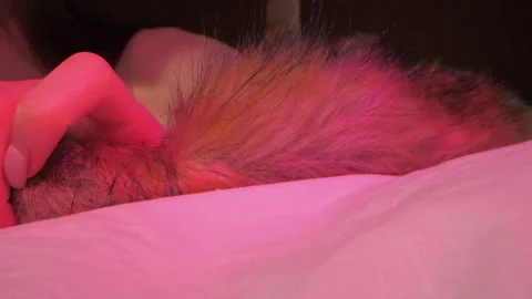 Lady takes and pulls anal plug with animal tail lying on bed Stock Footage 165562991