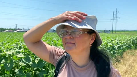 Lady think about environmental protection in sunflower field Slow motion video Stock Footage 314112189