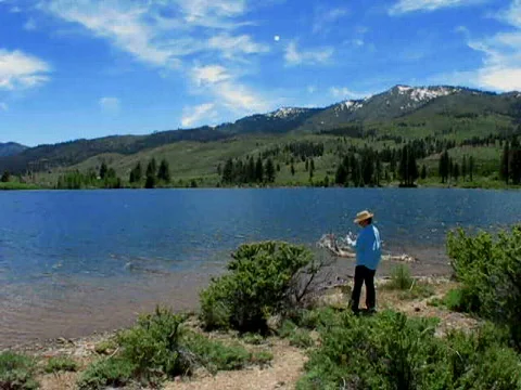 Lady throws Rock Into Pond Видео 734960