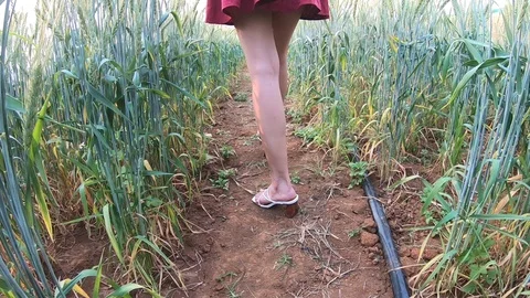 Lady walk in Barlay Video stock 126484919