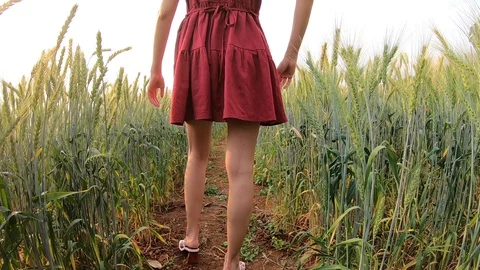 Lady walking in barlayfield Video stock 126478902