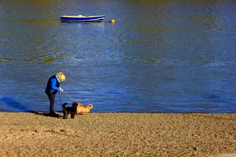 Lady walking dogs on a beach 写真素材