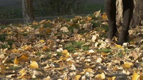 Lady walking on orange dry maple leaves in the fall 4k Stock Footage 97422765