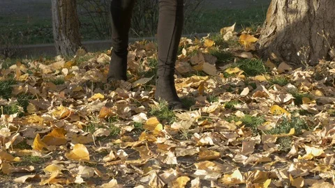 Lady walking towards the camera on orange dry maple leaves- fall 4k Stock Footage 97421429