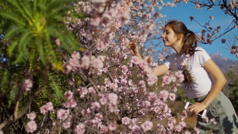 Lady walks and sniffs spring buds Pink Almond tree Stock Footage 125645624