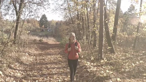 Lady walks on the forest path at sunny autumn day Stock Footage 57362389