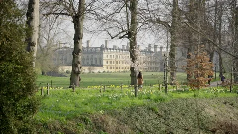 Lady walks through trees infront of Kings College, Cambridge Stock Footage 198384095