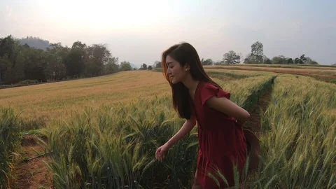 Lady walks touching Barlayfield Video stock 126477571