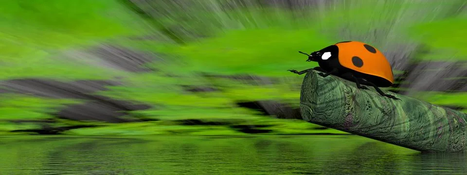 Ladybird - 3D render Stock Illustration