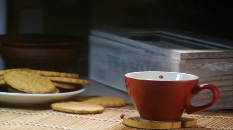Ladybird On The Cup For Tea Stock Footage 56261940