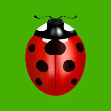 Ladybird on a green background Stock Illustration