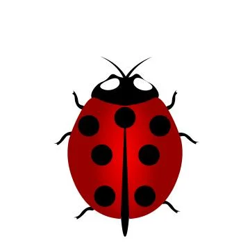 Ladybird icon, Red Ladybug Stock Illustration